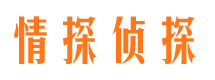 宣武市调查公司